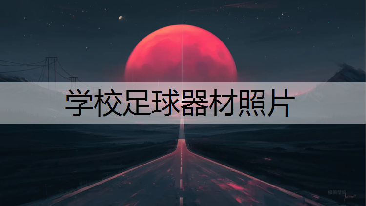 学校足球器材照片
