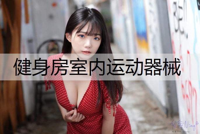 健身房室内运动器械