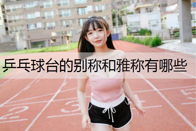 乒乓球台的别称和雅称有哪些