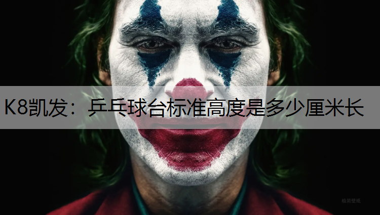 K8凯发：乒乓球台标准高度是多少厘米长