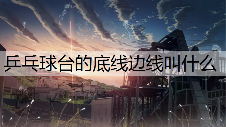 乒乓球台的底线边线叫什么