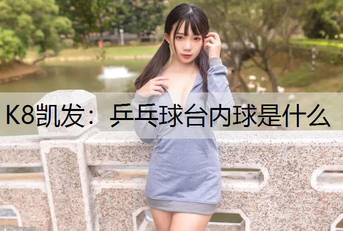 K8凯发：乒乓球台内球是什么