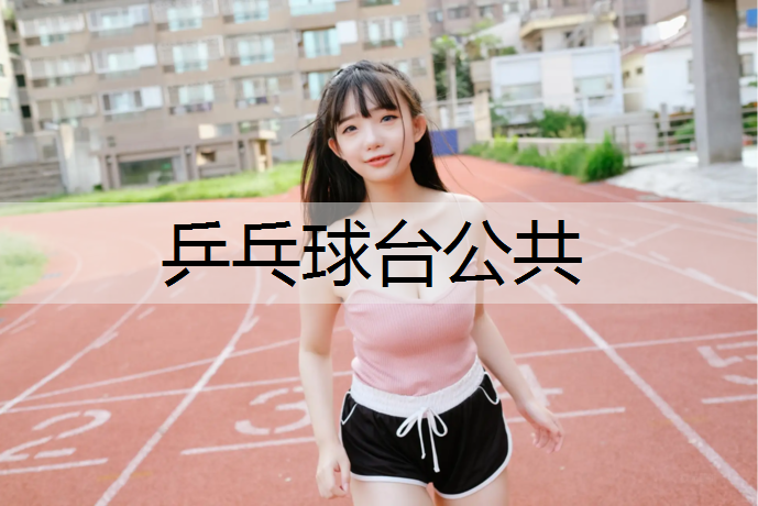 乒乓球台公共