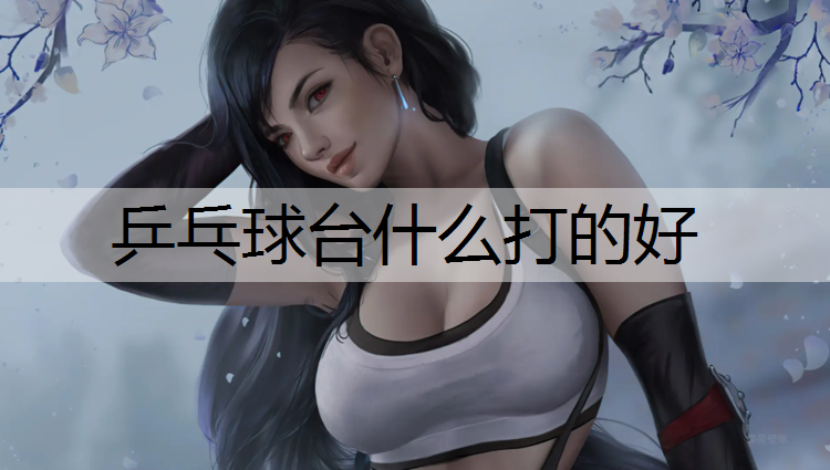 乒乓球台什么打的好
