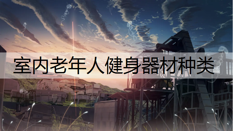 室内老年人健身器材种类