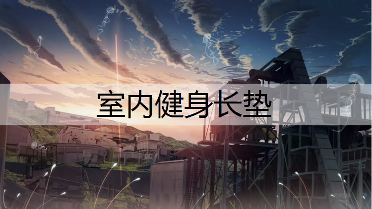 室内健身长垫