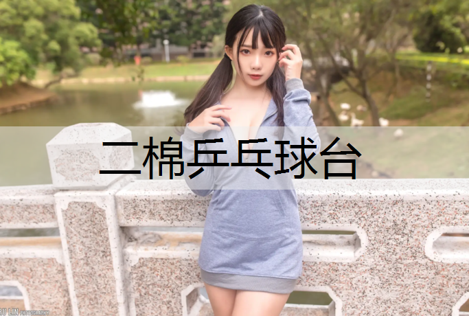 二棉乒乓球台