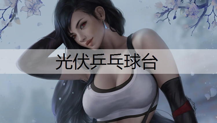光伏乒乓球台