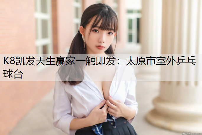 K8凯发天生赢家一触即发：太原市室外乒乓球台