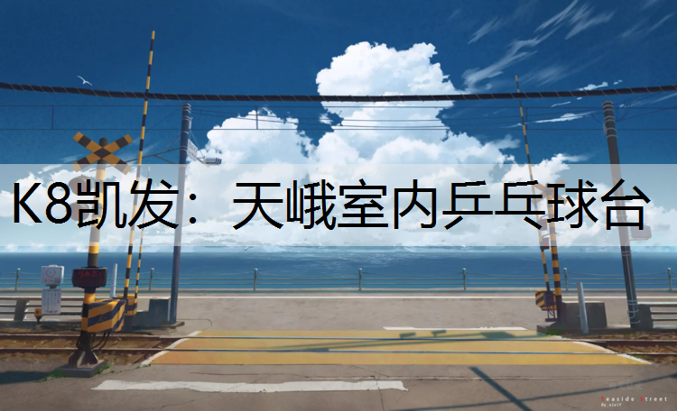 K8凯发：天峨室内乒乓球台