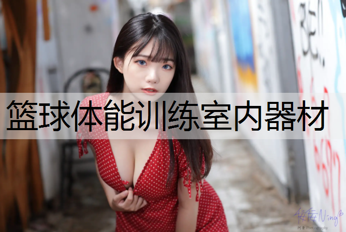 篮球体能训练室内器材