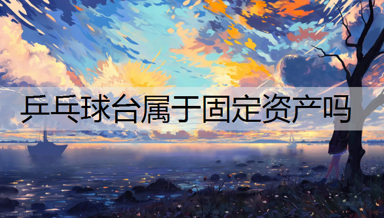 乒乓球台属于固定资产吗
