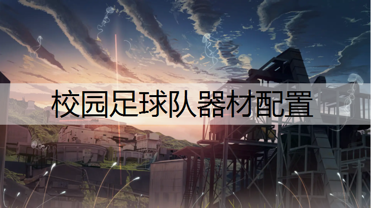 校园足球队器材配置