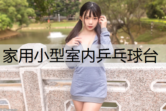 家用小型室内乒乓球台