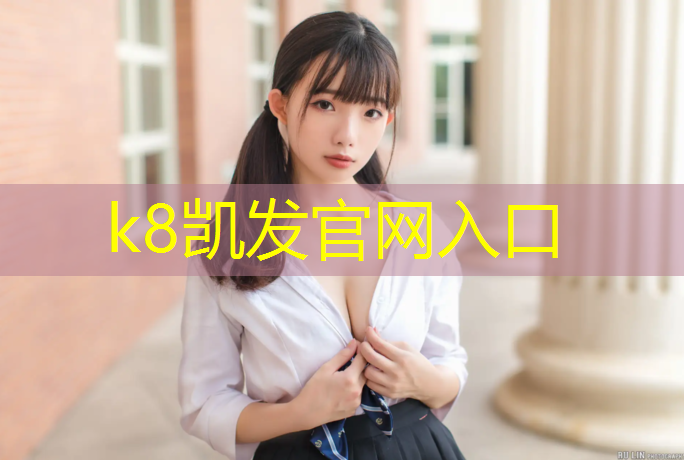 K8凯发：健腹轮要点