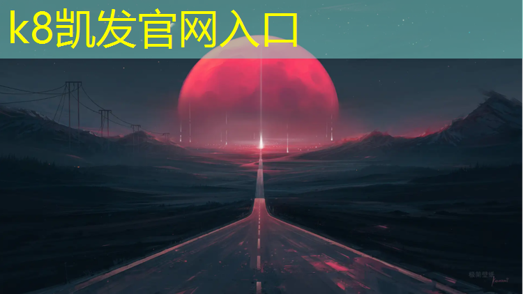 k8凯发官网入口：新网球网子283