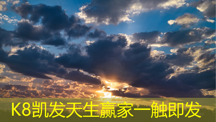 K8凯发中国官方网站：草坪专用减震垫塑胶跑道
