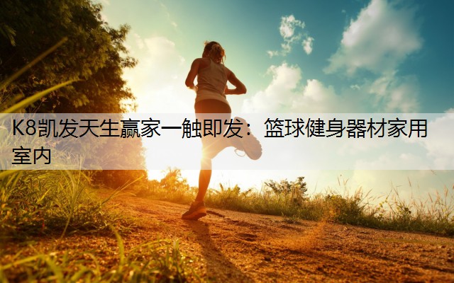 篮球健身器材家用室内