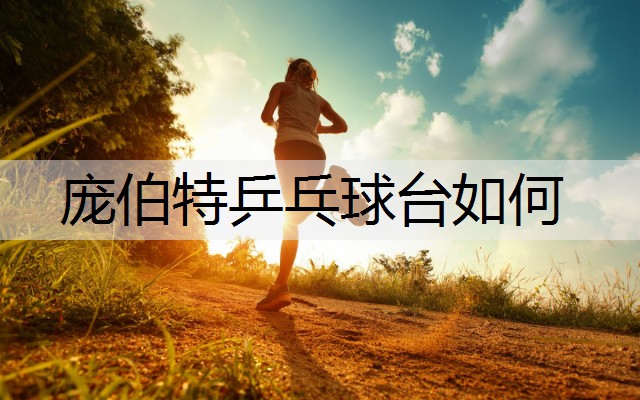 庞伯特乒乓球台如何