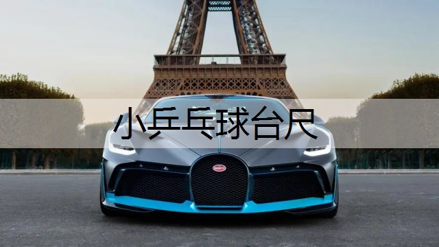 小乒乓球台尺