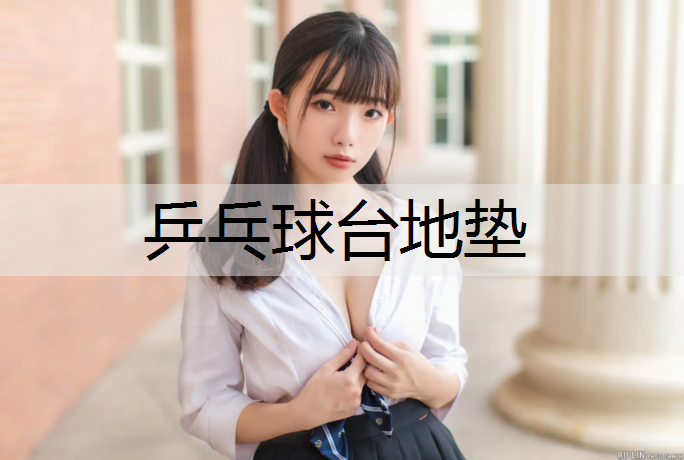乒乓球台地垫