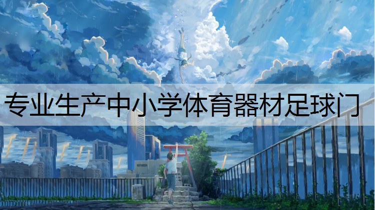 专业生产中小学体育器材足球门