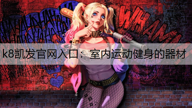室内运动健身的器材