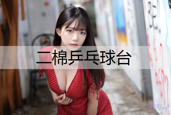 二棉乒乓球台