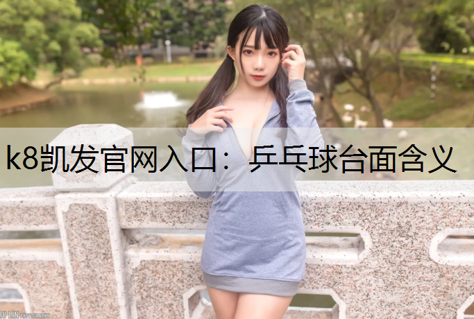 乒乓球台面含义
